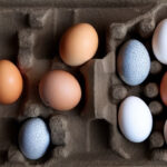 A bunch of different coloured eggs.