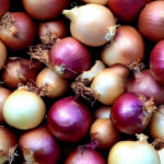 Image of lots of onions filling the screen